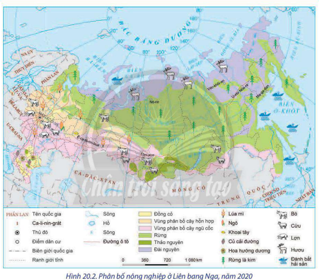 Đặc điểm nền nông nghiệp liên bang nga