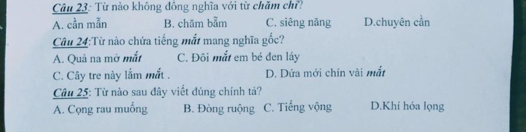 Đồng nghĩa với từ
